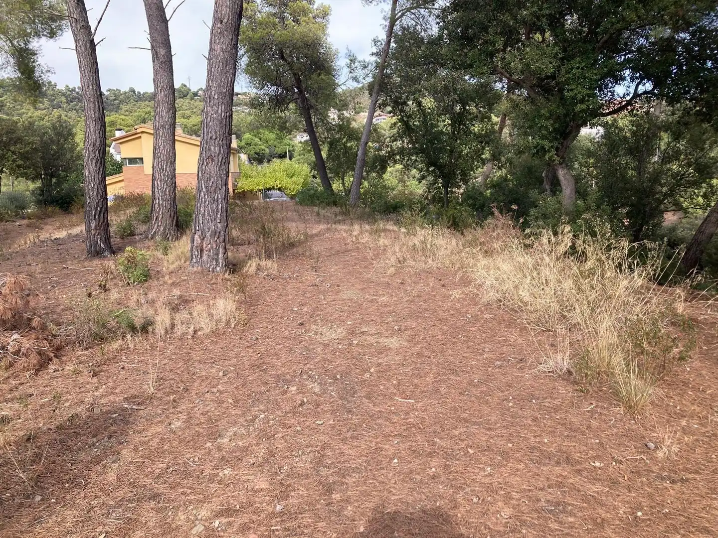 Residential land for sale in Carrer Carrer Lligabosc, imagen 5