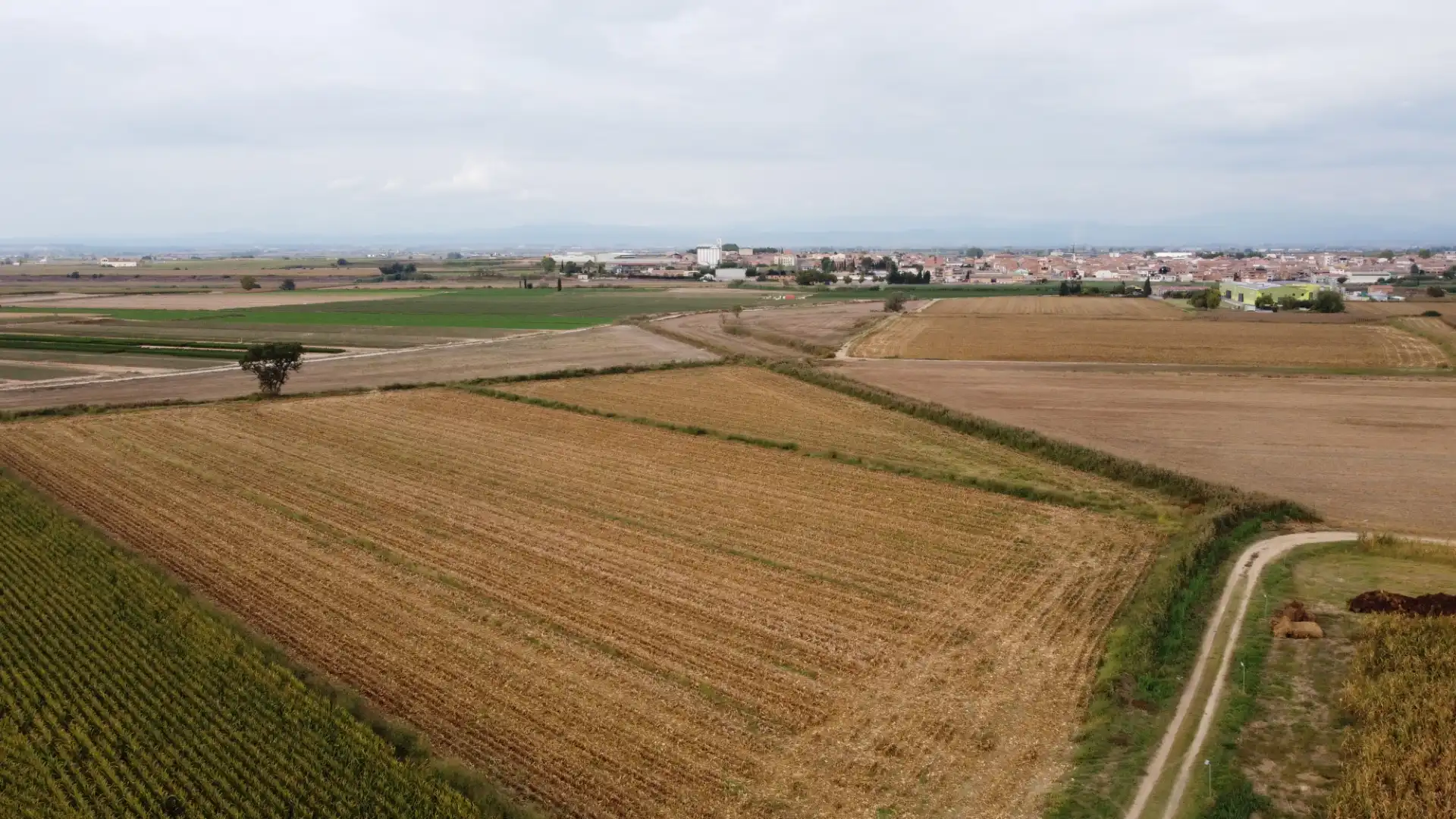Terreny rústic en venda a Bell-lloc d'Urgell, imagen 3