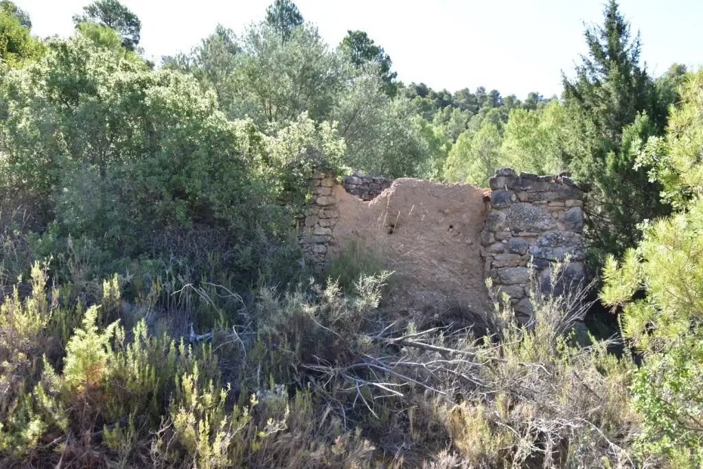 Terreni e lotti in vendita a Valderrobres, imagen 5