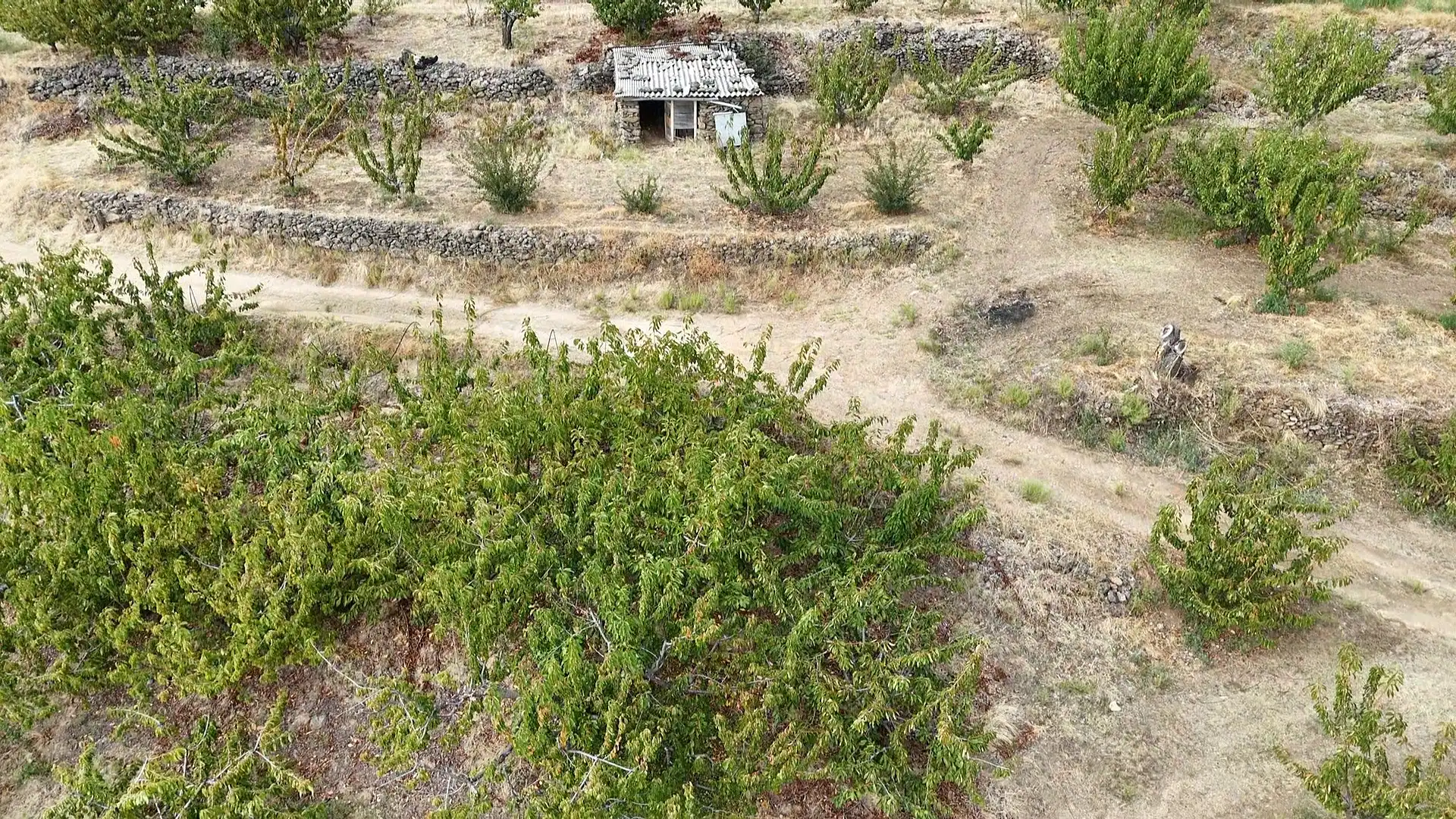 Terrain rustique à vendre à Avenida Extremadura 72, imagen 9