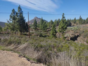 Terrenos y solares en venta en Vilaflor de Chasna