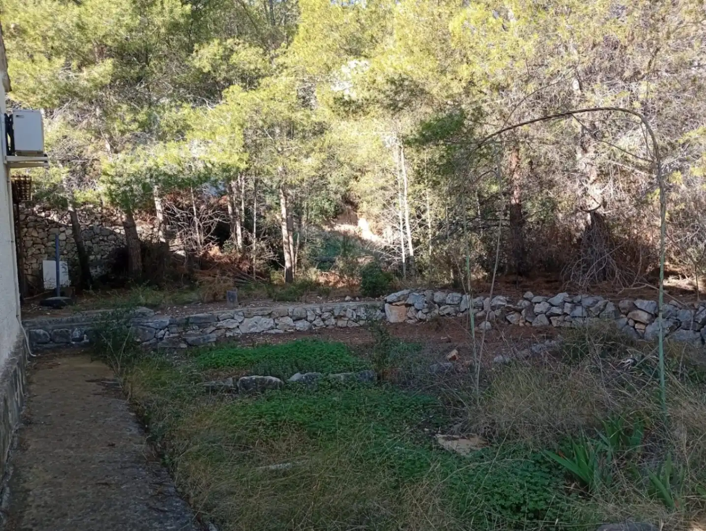 Lands and plots for sale in Zona Pueblo, imagen 2