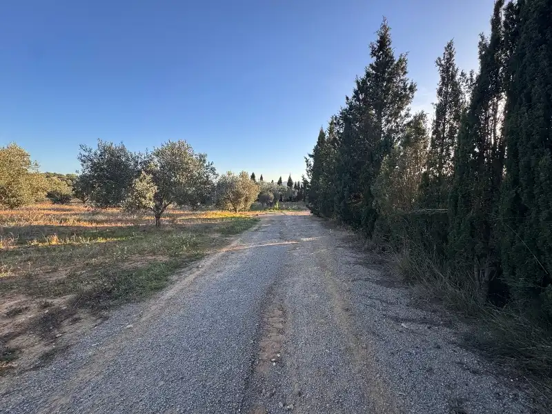 Terreno rustico in vendita a Barri Castell d'Empordà, imagen 4