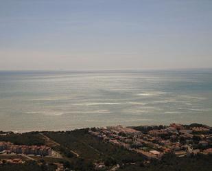 Terreny en venda en Alcalà de Xivert