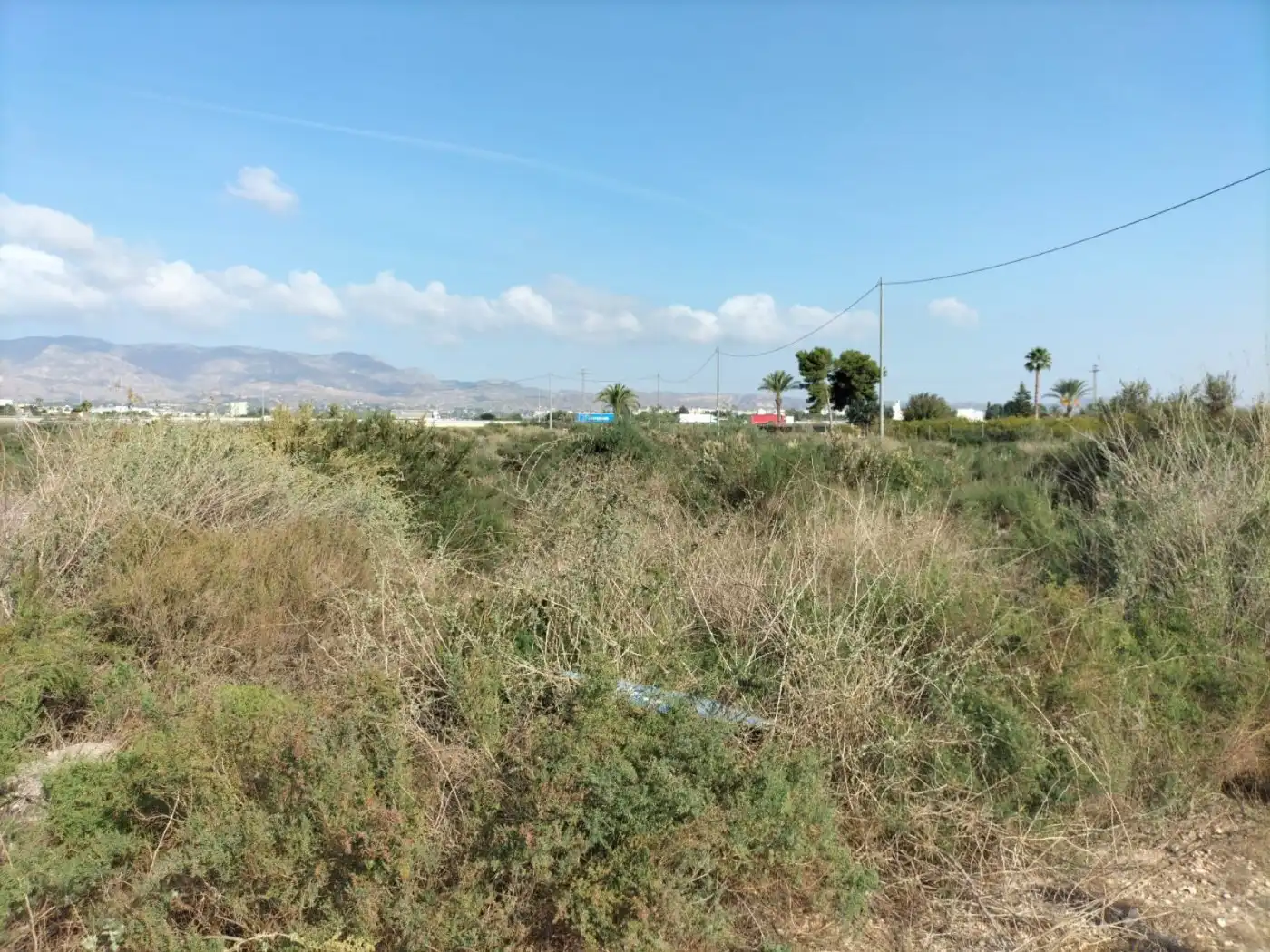 Terreno rustico in vendita a Crevillent, imagen 7