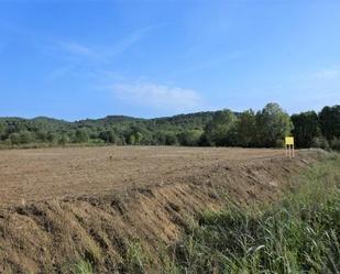 Industrial land for sale in Riells i Viabrea