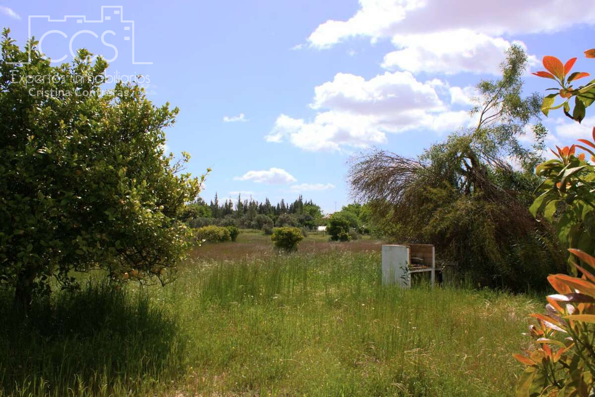 Finca rústica en venda en Almonte amb Traster i Moblat