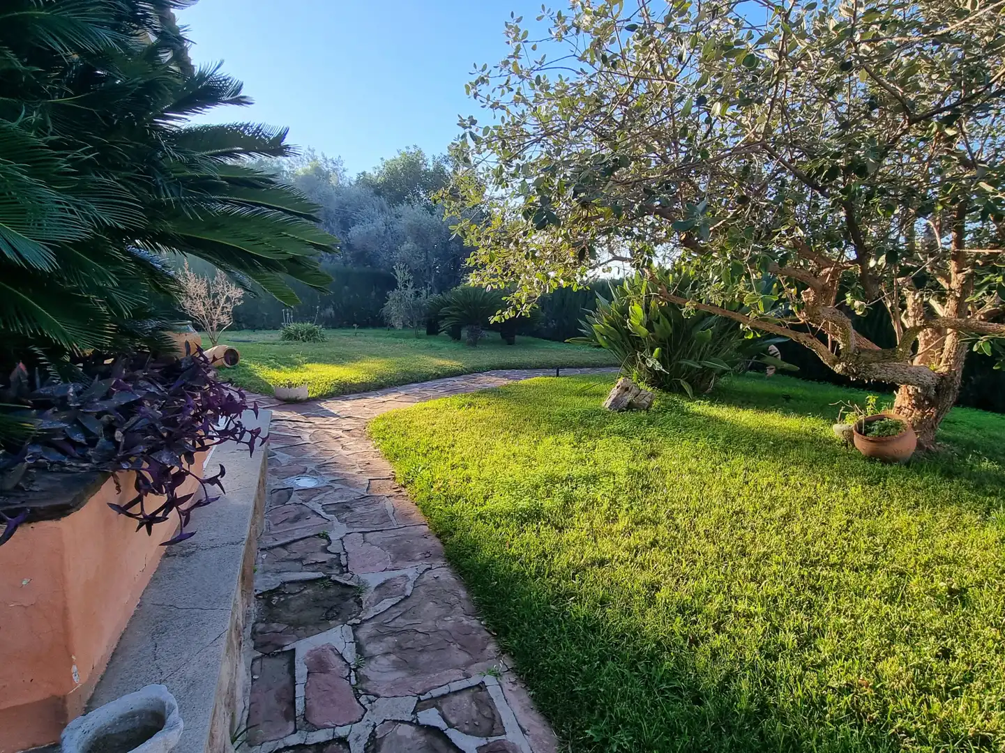 Jardín de Casa o chalet de alquiler en Vila-real con Calefacción