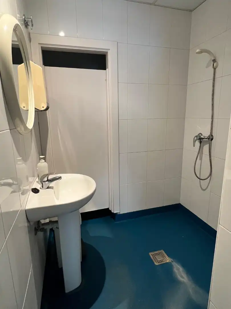 Bathroom of Commercial properties for sale in Andoain