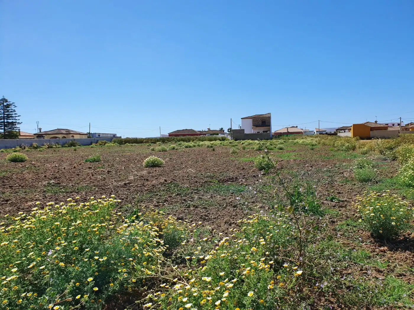 Terreno residencial en venta en La Banda - Campo de Fútbol, imagen 2