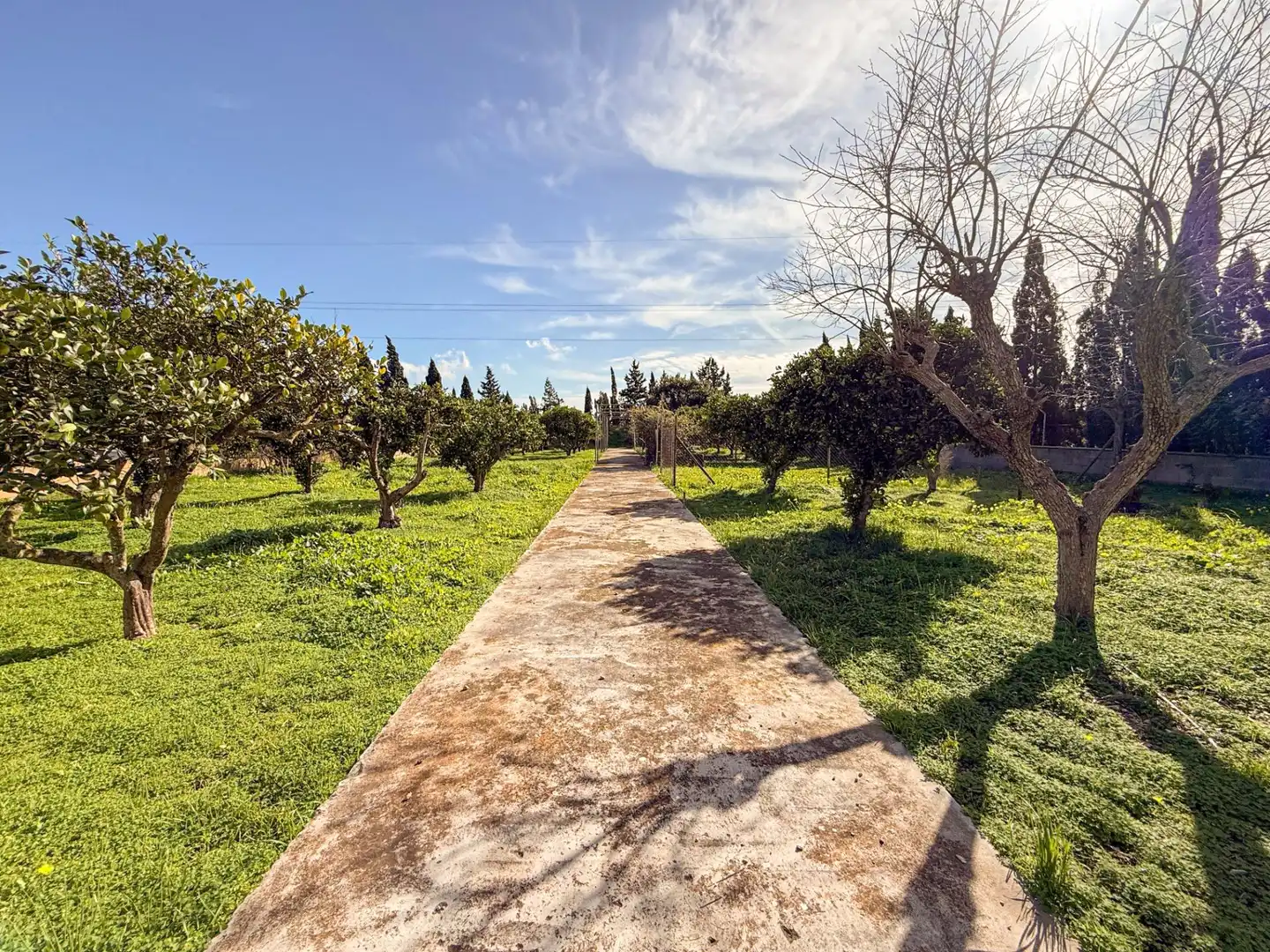 Land for sale in Inca
