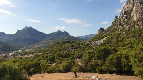 Foto 5 de Finca rústica en venda a Ubrique, Cádiz