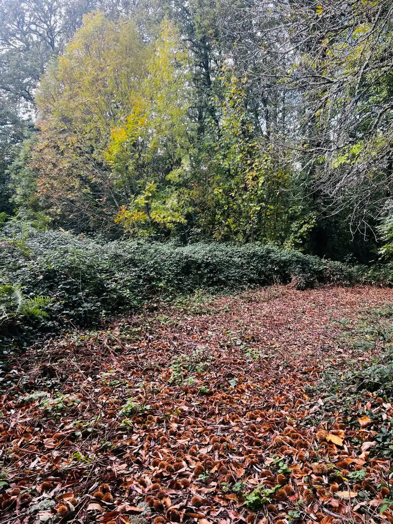 Finca rústica en venta en O Incio , Lugo