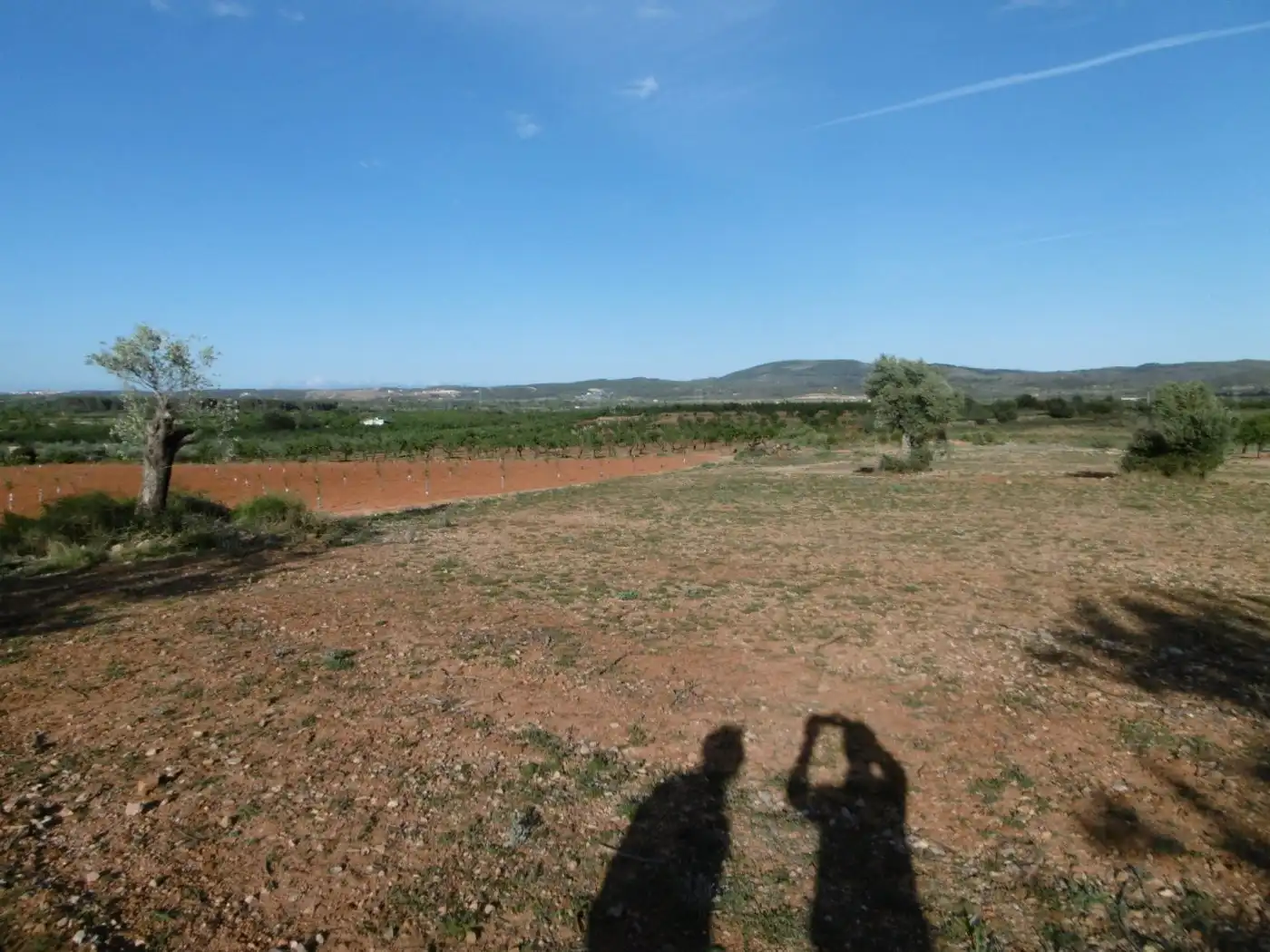 Terrenys i solars en venda a Vall d'Alba, imagen 8