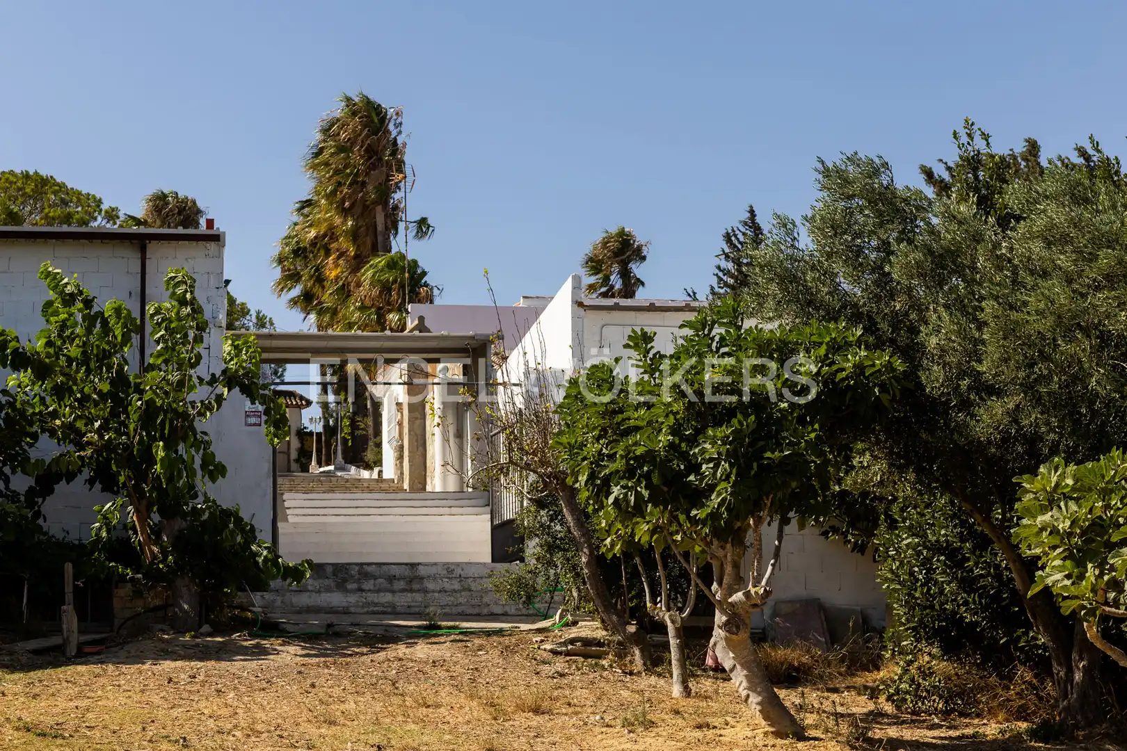 Vista exterior de Casa o chalet en venta en Chiclana de la Frontera con Aire acondicionado, Calefacción y Jardín privado