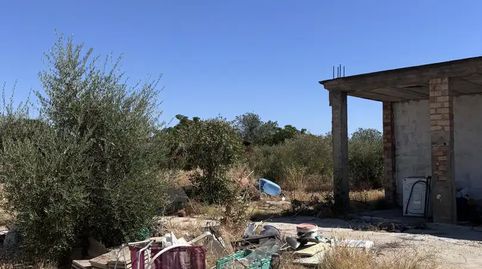 Foto 5 de Casa o xalet en venda a Calle Guadiamar, 10, Sanlúcar la Mayor, Sevilla