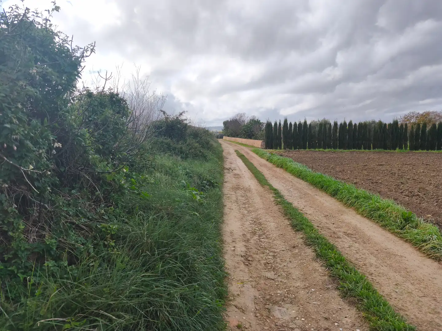 Terreno rustico in vendita a Montuïri, imagen 4