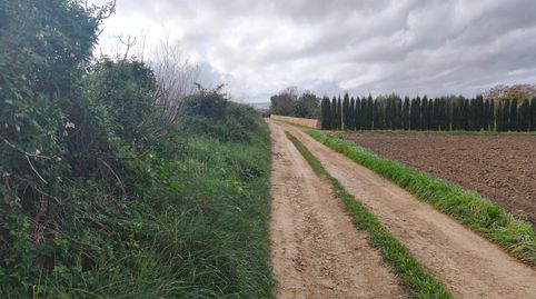 Finca de cultivo, immagine 4