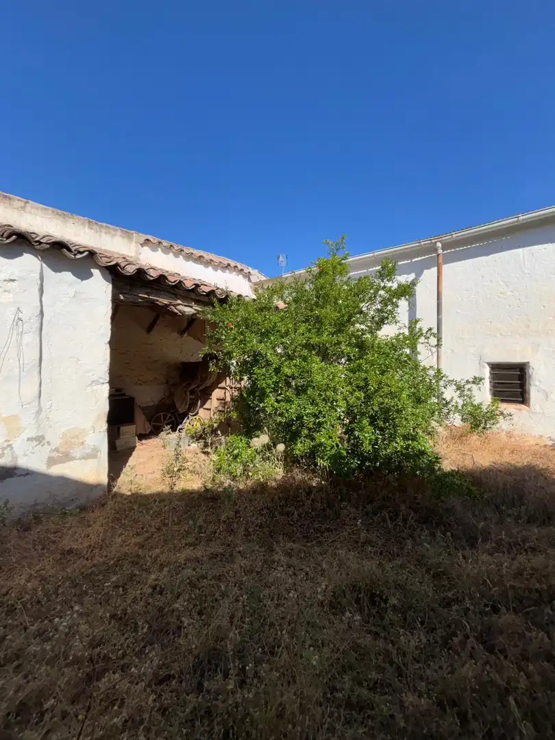 Casa o chalet en venta en Moral de Calatrava