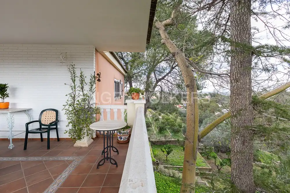 Jardín de Casa o chalet en venta en Alzira con Aire acondicionado, Calefacción y Jardín privado