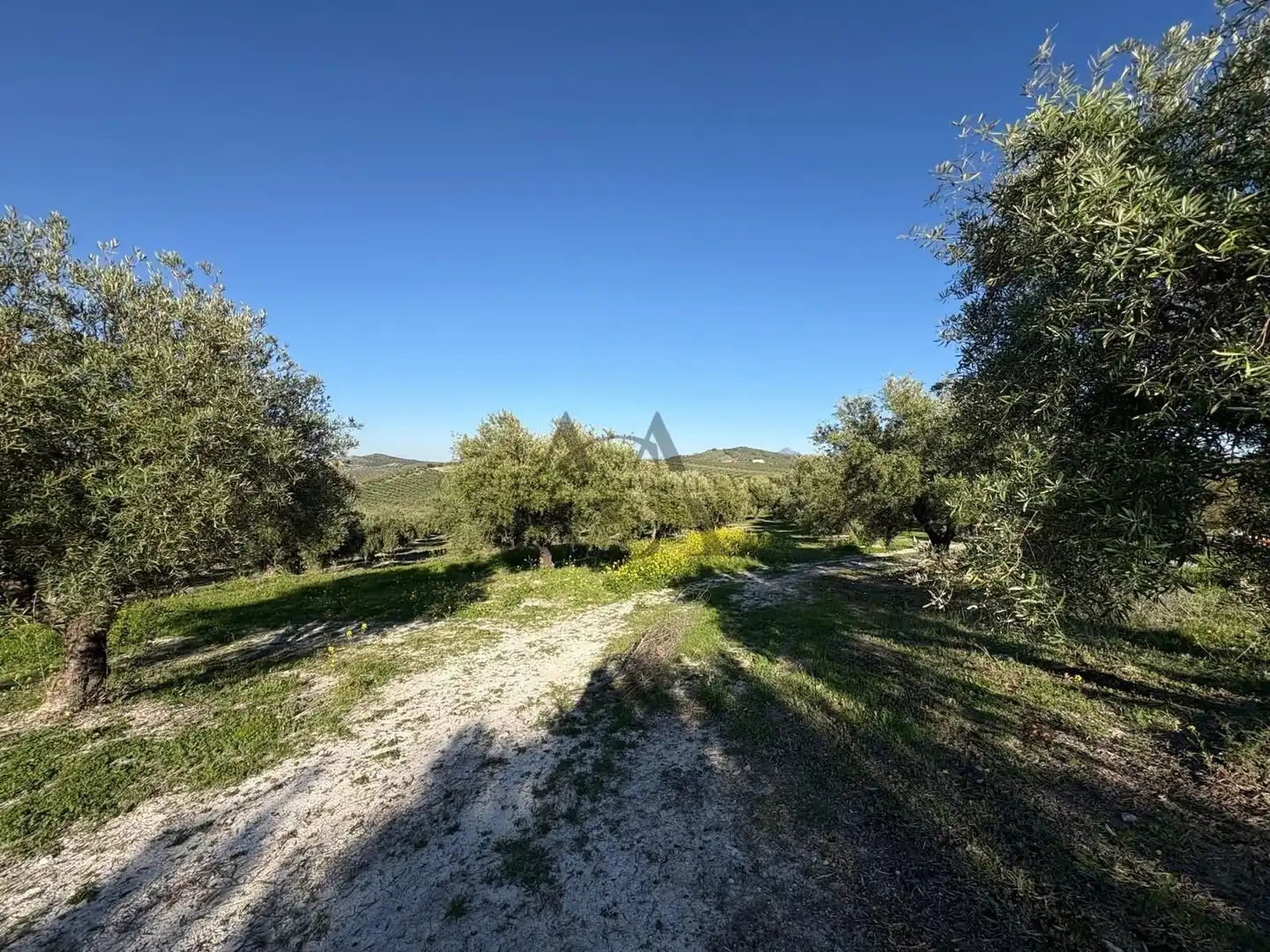 House for sale in Baena, imagen 30