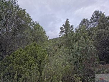 Terreno residencial en venta en Trillo
