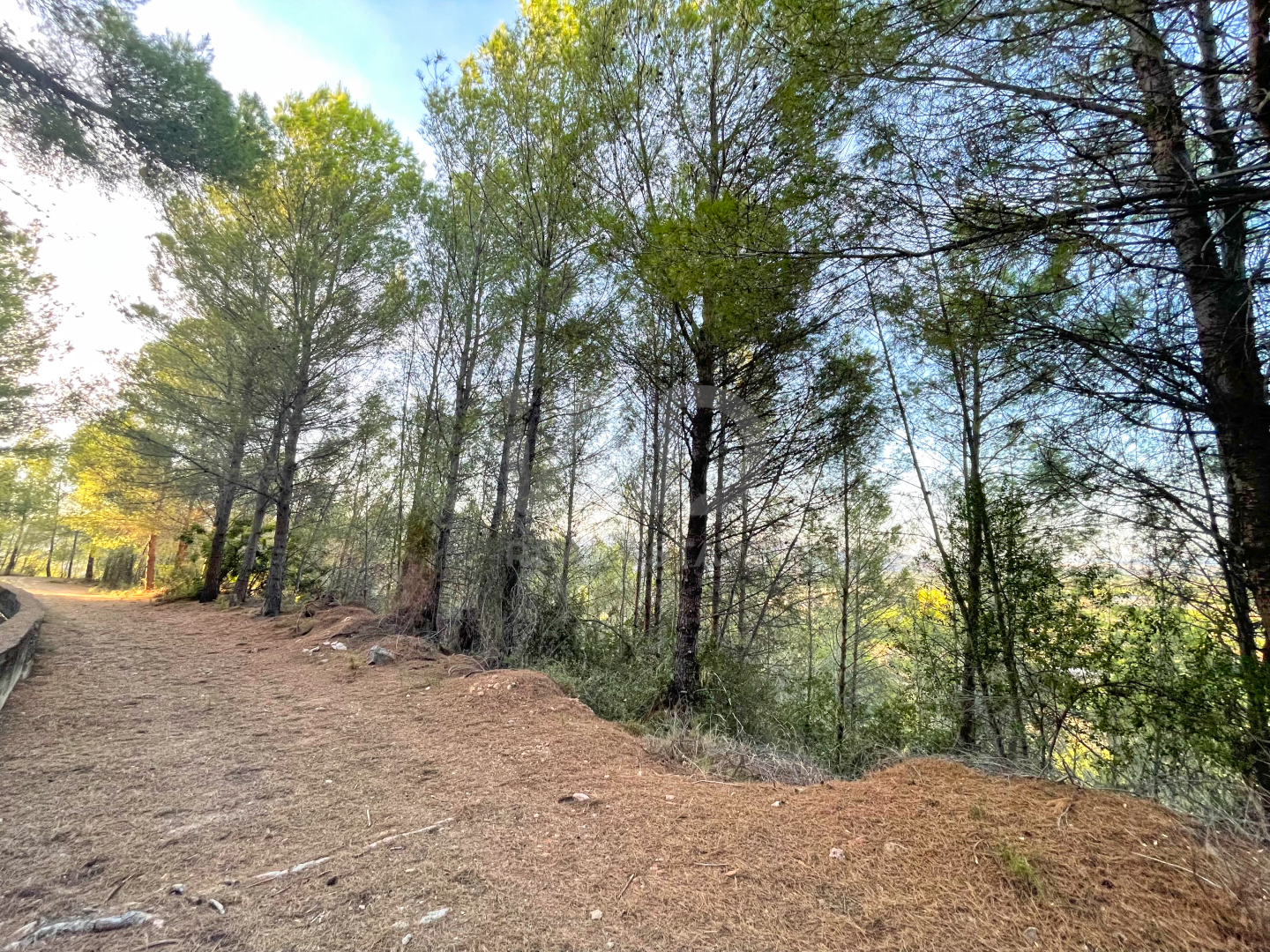 Residencial en venta en Ador