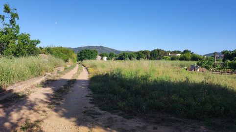 Finca Rúst. en venta en Ulldecona., imagen 2