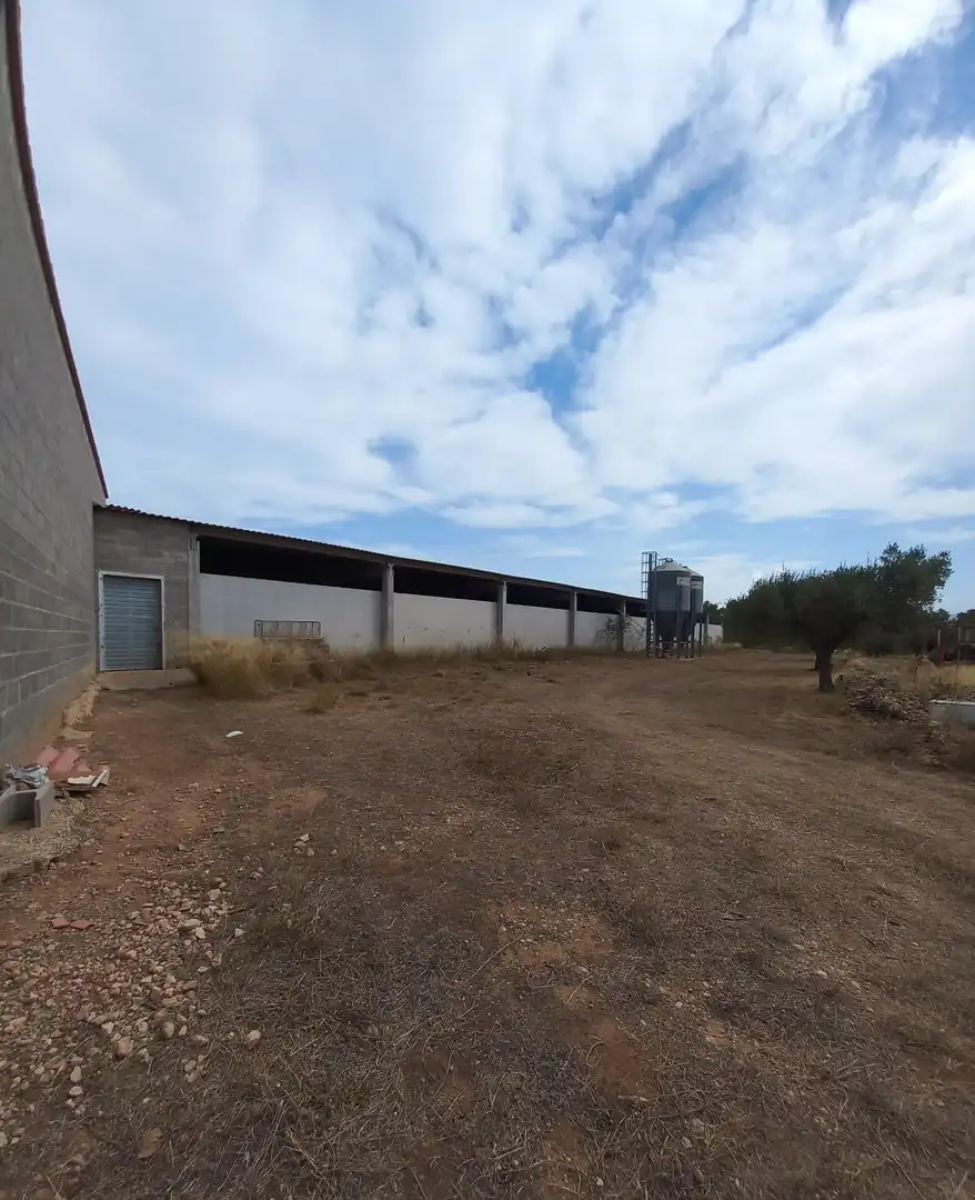 Finca rústica en venta en Tivissa