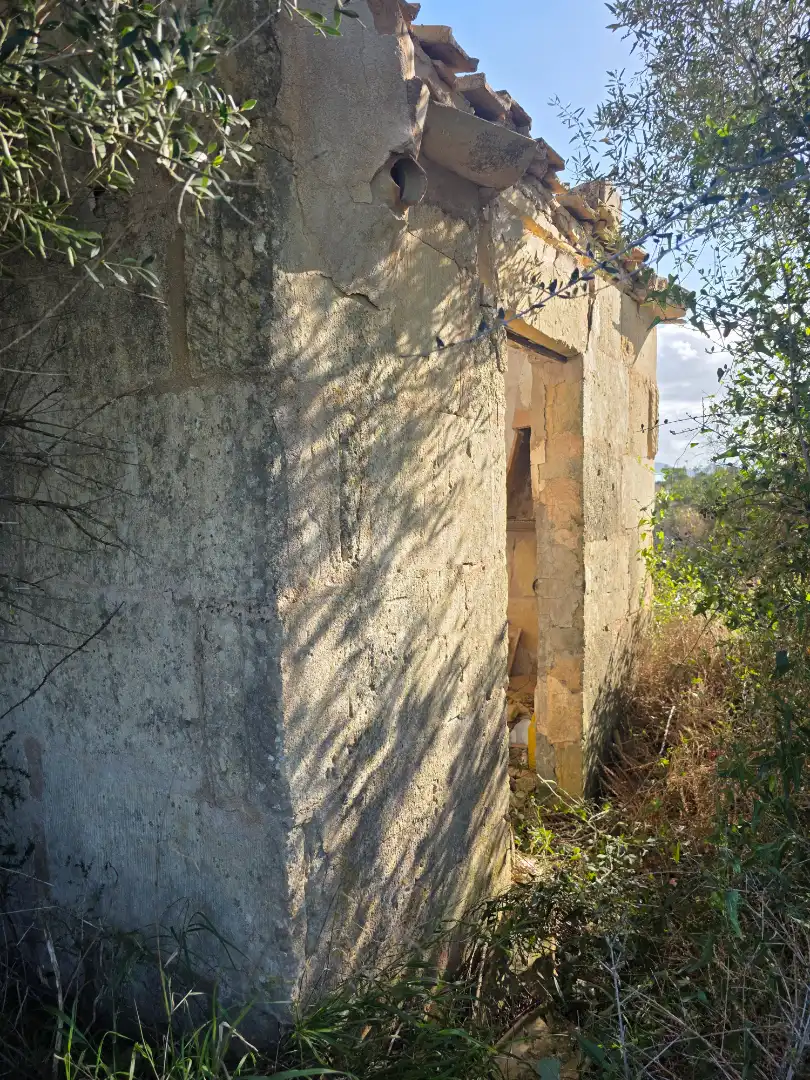 Exterior view of Land for sale in Porreres