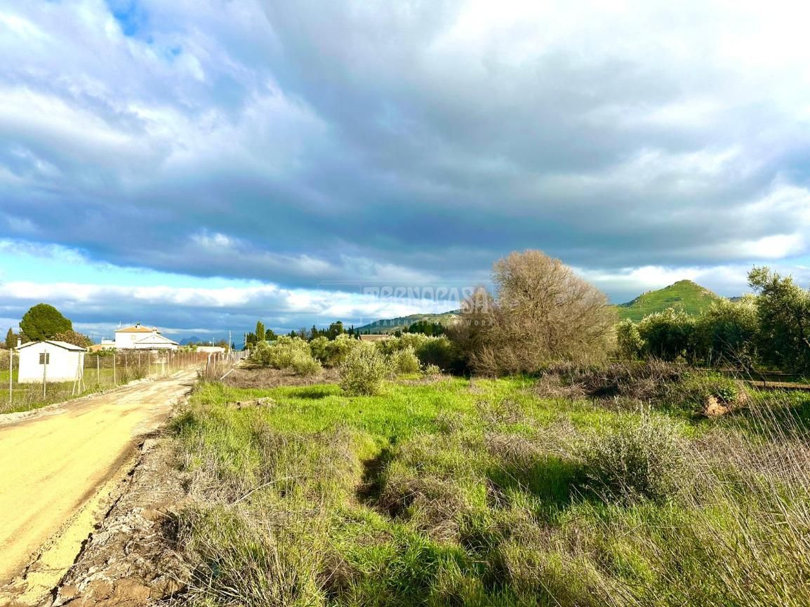 Terreno en venta en Antequera