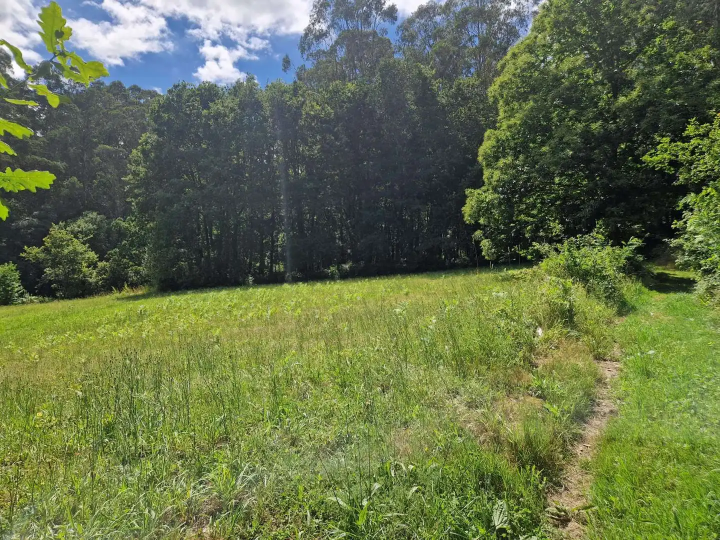 Lands and plots for sale in Brión, imagen 9