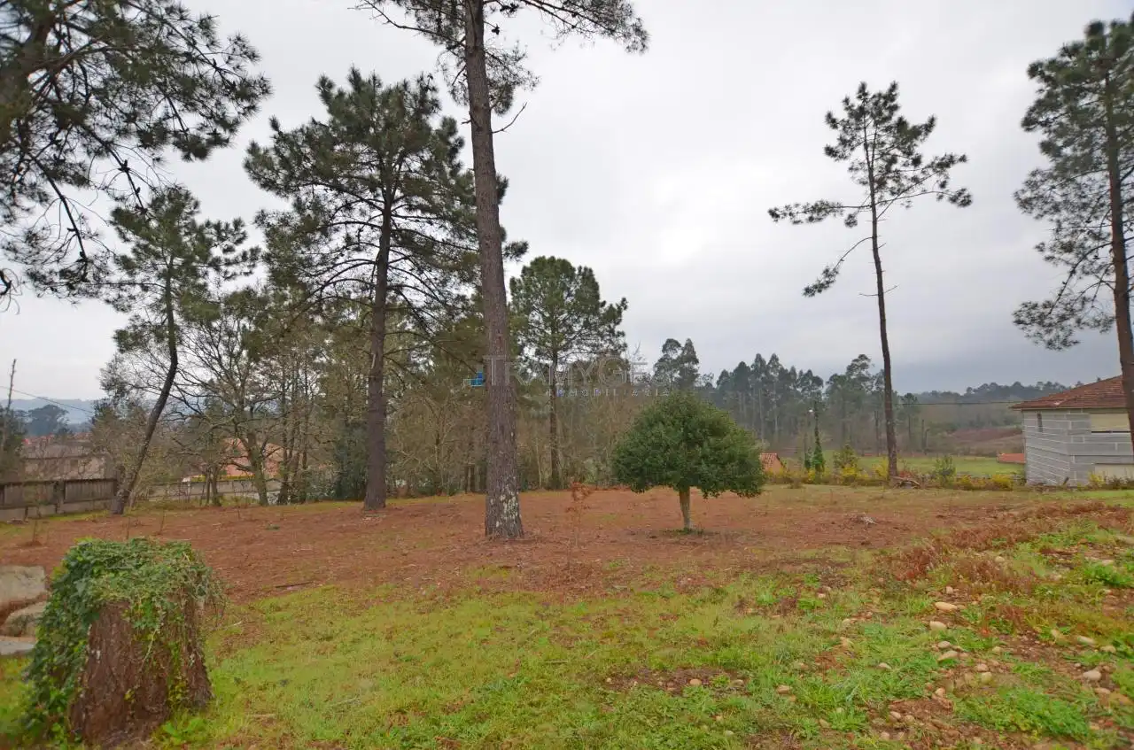 Residential land for sale in SAN BENITO, imagen 13