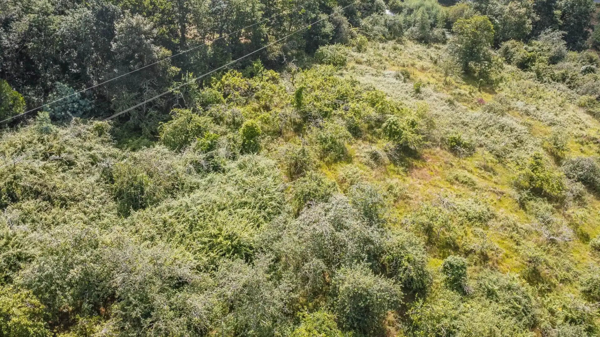 Rural land for sale in del pareo, imagen 18