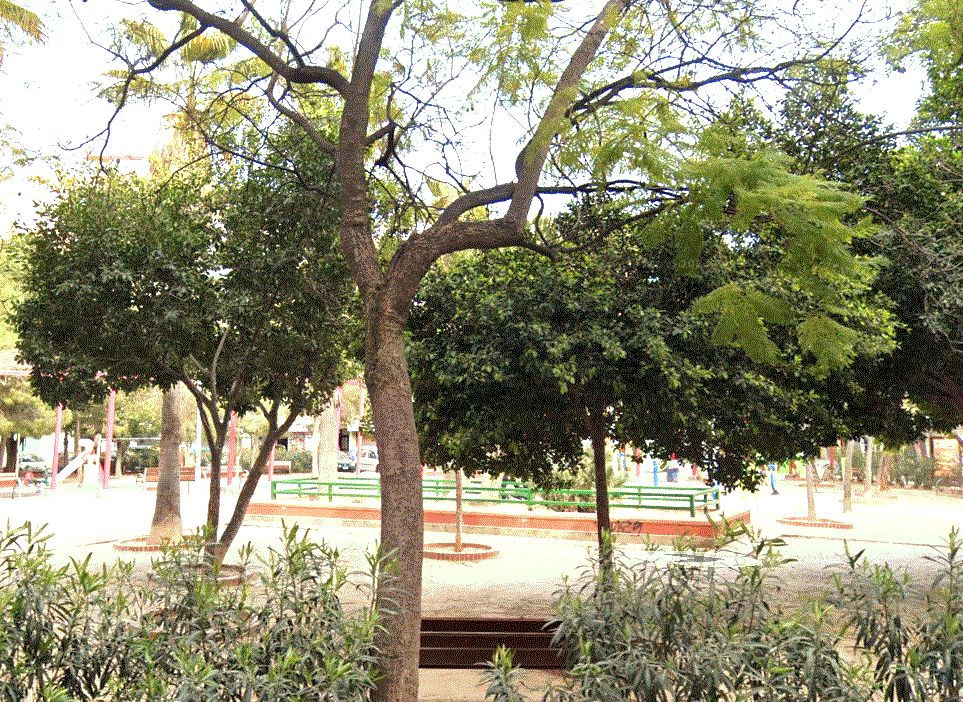 Vista exterior de Planta baixa en venda en  Valencia Capital amb Aire condicionat, Calefacció i Moblat