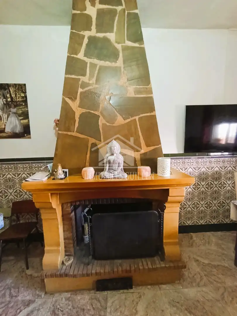 Sala d'estar de Casa o xalet en venda en Berja amb Aire condicionat, Jardí privat i Terrassa
