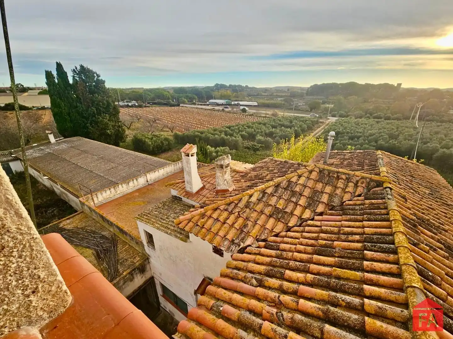 Vista exterior de Finca rústica en venta en Santa Oliva con Trastero y Piscina