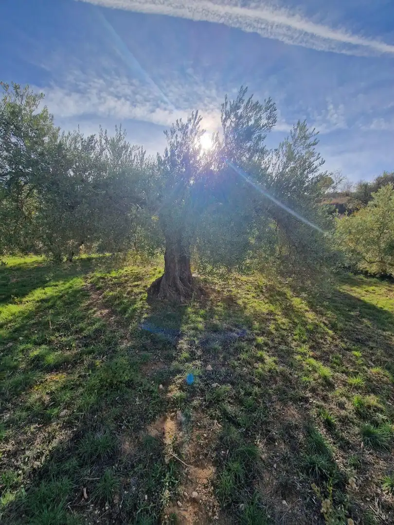 Maison rustique avec jardin à vendre à Cogollos de la Vega, imagen 71