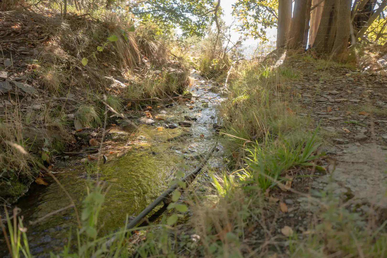 Vista exterior de Finca rústica en venda en Válor amb Jardí privat i Terrassa
