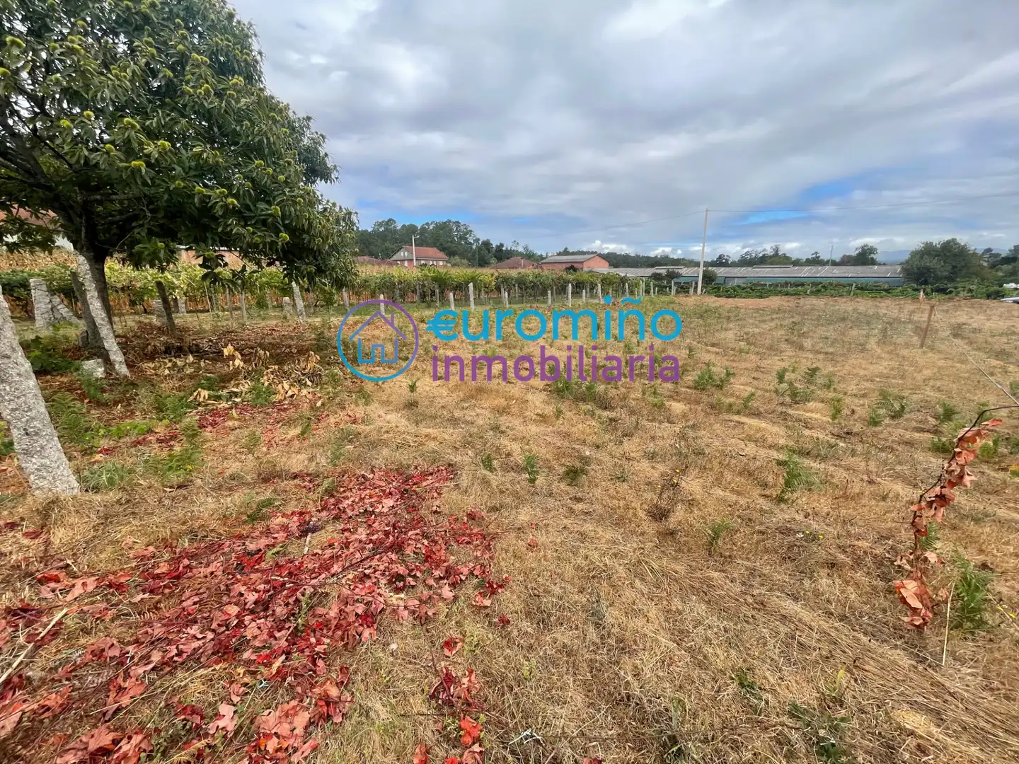 Residencial en venta en Salvaterra de Miño