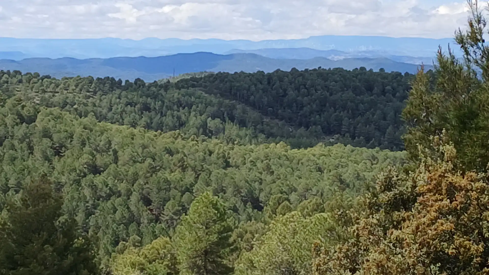 Grundstücke zum Verkauf in La Cerollera