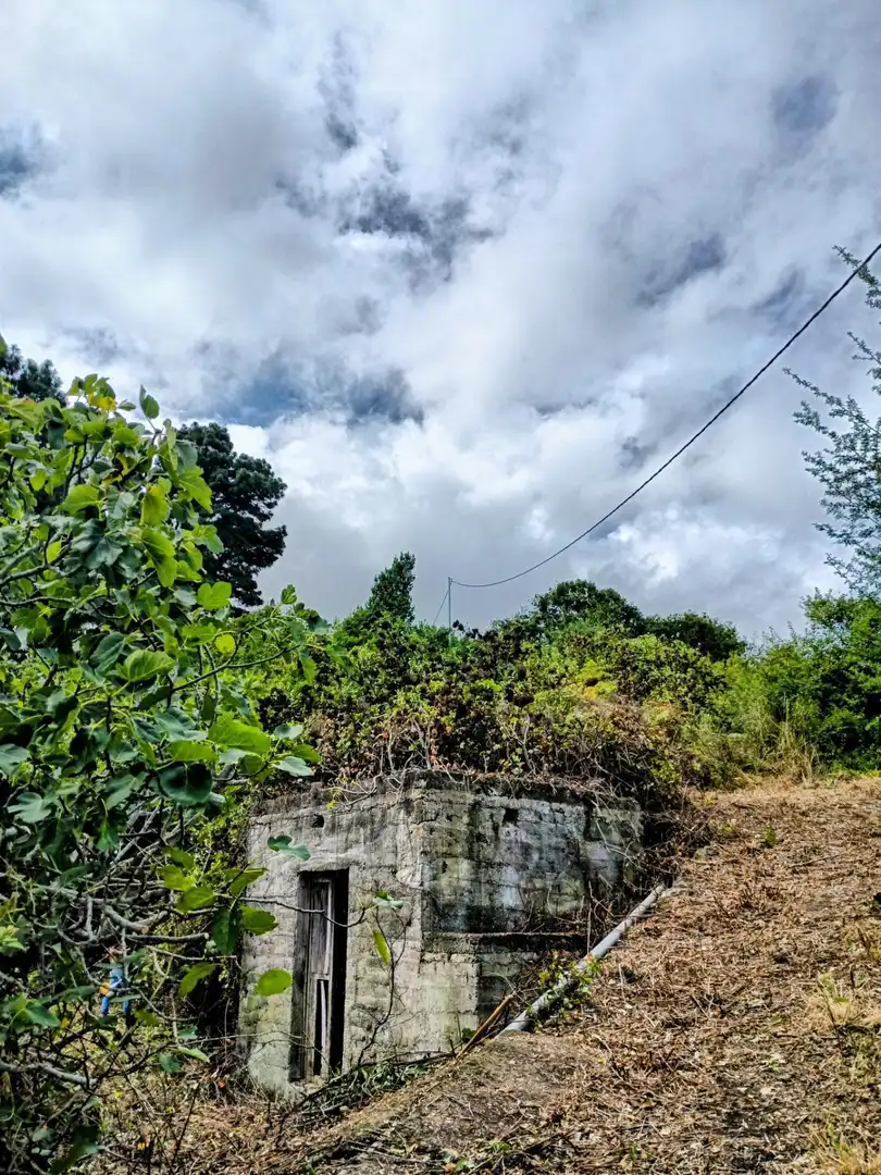 Rural land for sale in La Vega - El Amparo - Cueva del Viento, imagen 2