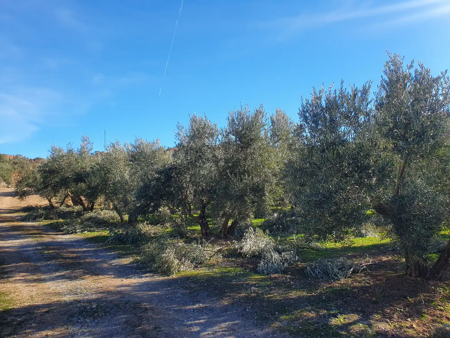 Terreni e lotti in vendita a Guadix, imagen 3
