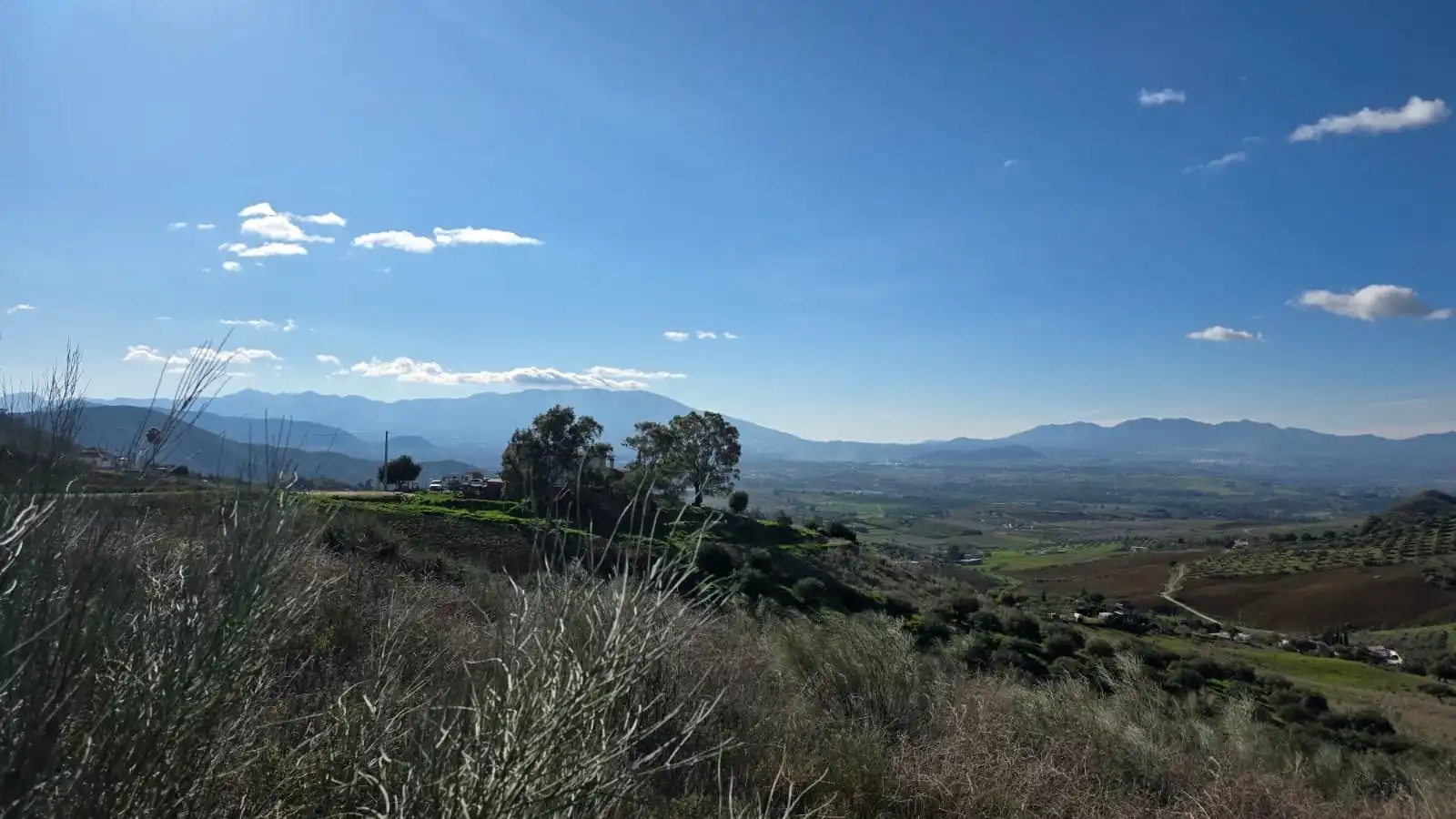 Vista exterior de Finca rústica en venda en Pizarra