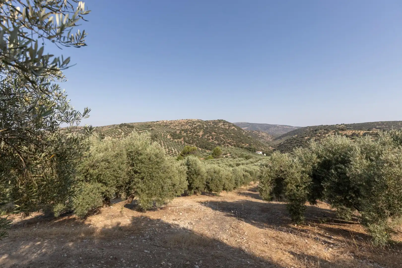 Terreni e lotti in vendita a Lugar Lugar del Cortijo Aguadero, imagen 32