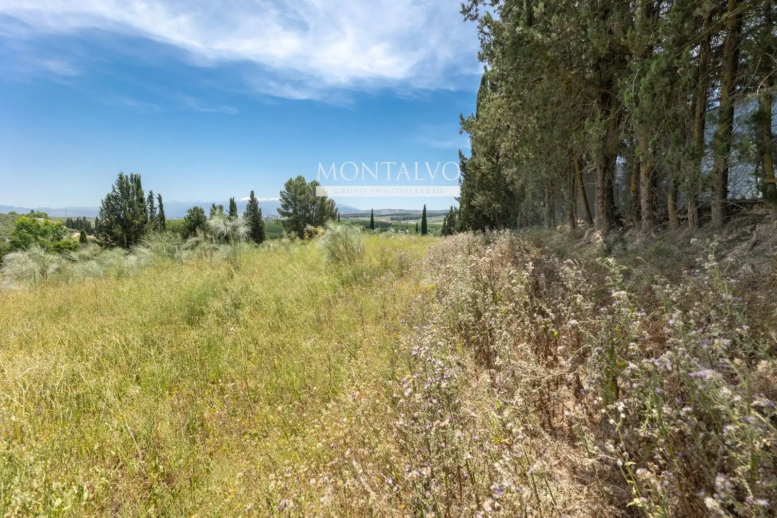 Land for sale in Pinos Puente