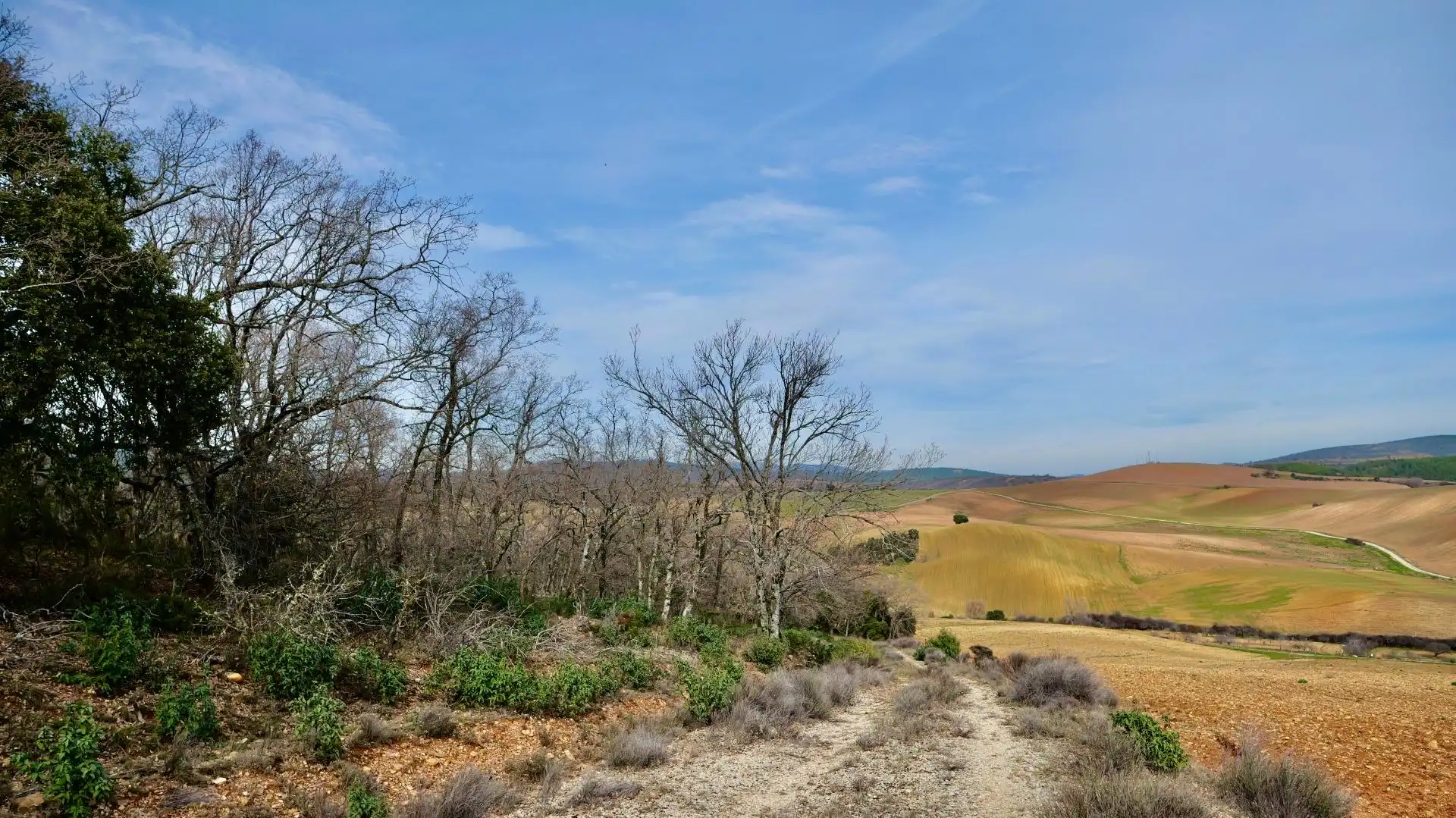 Land for sale in Arbancón