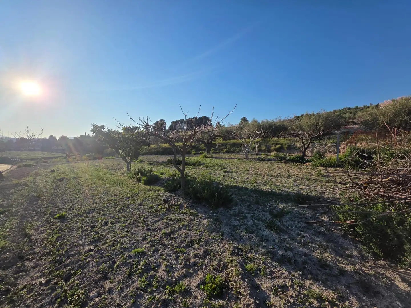 Finca rústica en venda en Gorga amb Terrassa i Traster