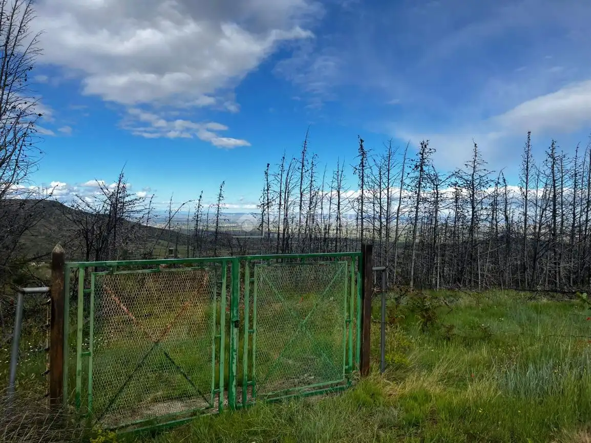 Land for sale in Borja