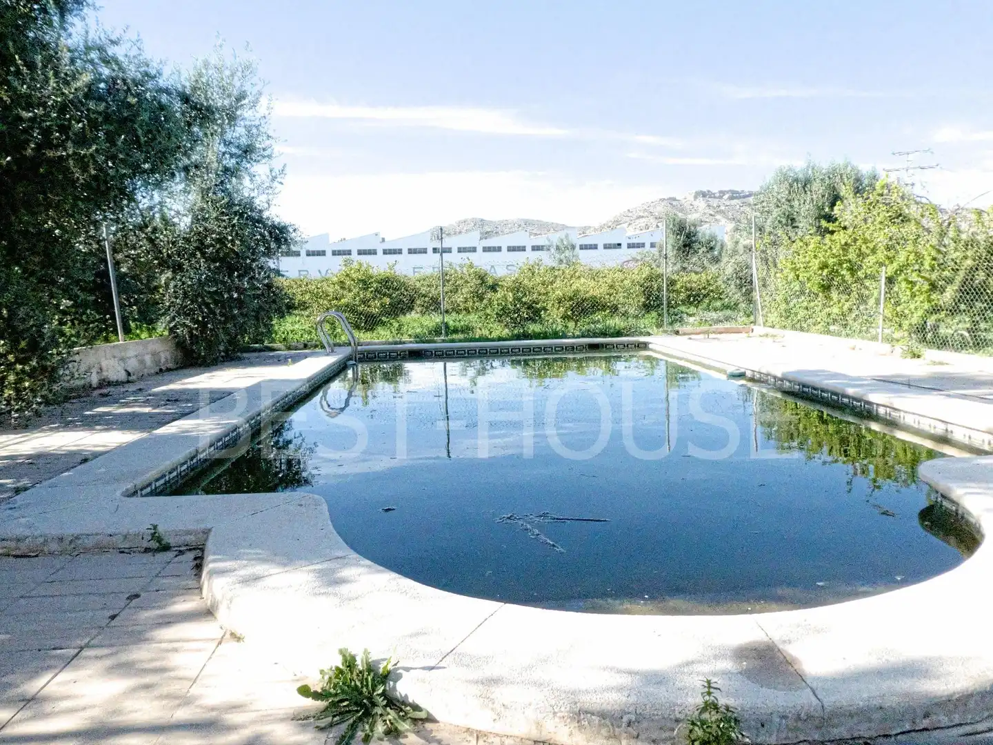 Piscina de Casa o chalet en venta en Mula con Jardín privado y Piscina